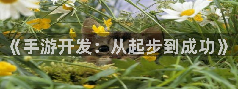 pg国际分分预测