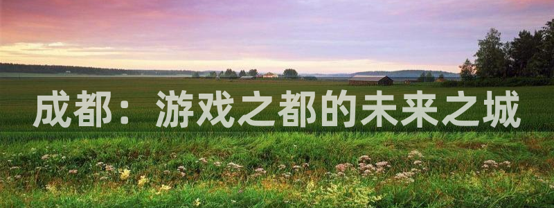 28大神吧论坛没了：成都：游戏之都的未来之城