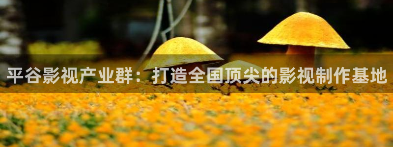 即看影视可以下载吗