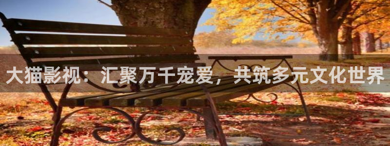 即看影视官网版：大猫影视：汇聚万千宠爱，共筑多元文化世界