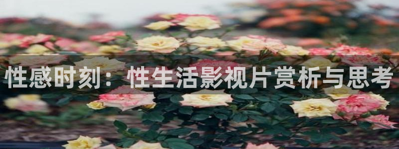 即看影视电脑版：性感时刻：性生活影视片赏析与思考
